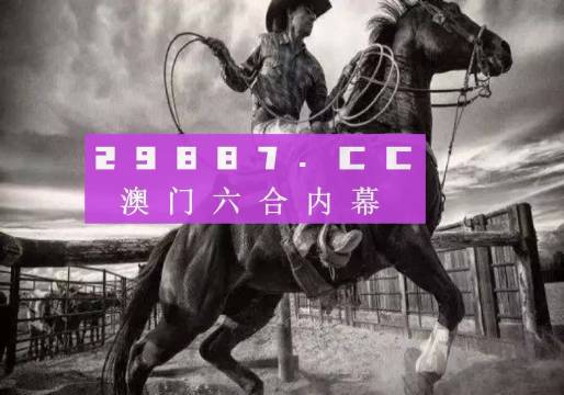 澳门正版免费精准资料，探索与解析，澳门正版免费精准资料深度解析与探索