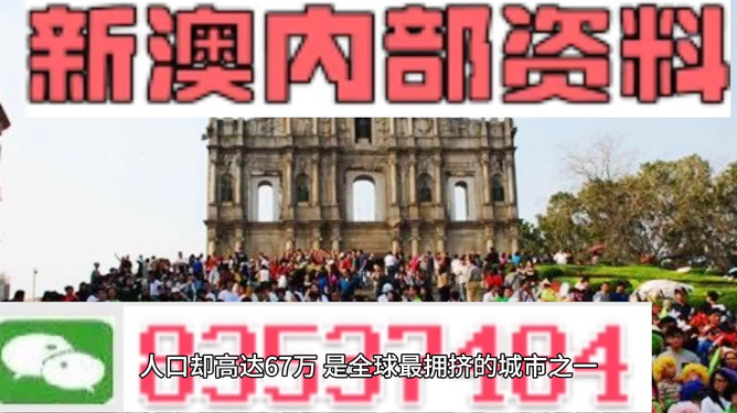 澳门精准内部资料大全，探索与揭秘，澳门内部资料大全，揭秘与探索之旅