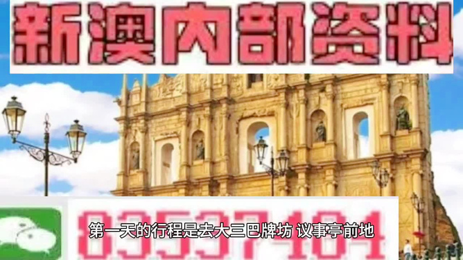 新澳门精准资料大全管家婆料，探索与解析，澳门精准资料大全解析，探索管家婆料内幕