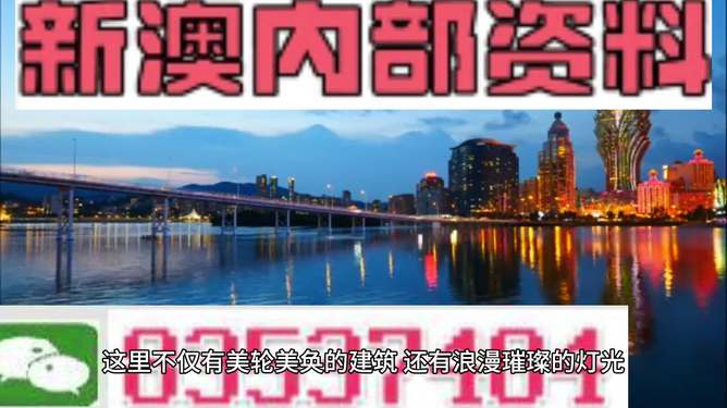 新澳门资料大全正版资料，探索真实与准确的资讯世界，避免误区与误解，新澳门正版资料大全，探寻真实资讯，避开误区与误解