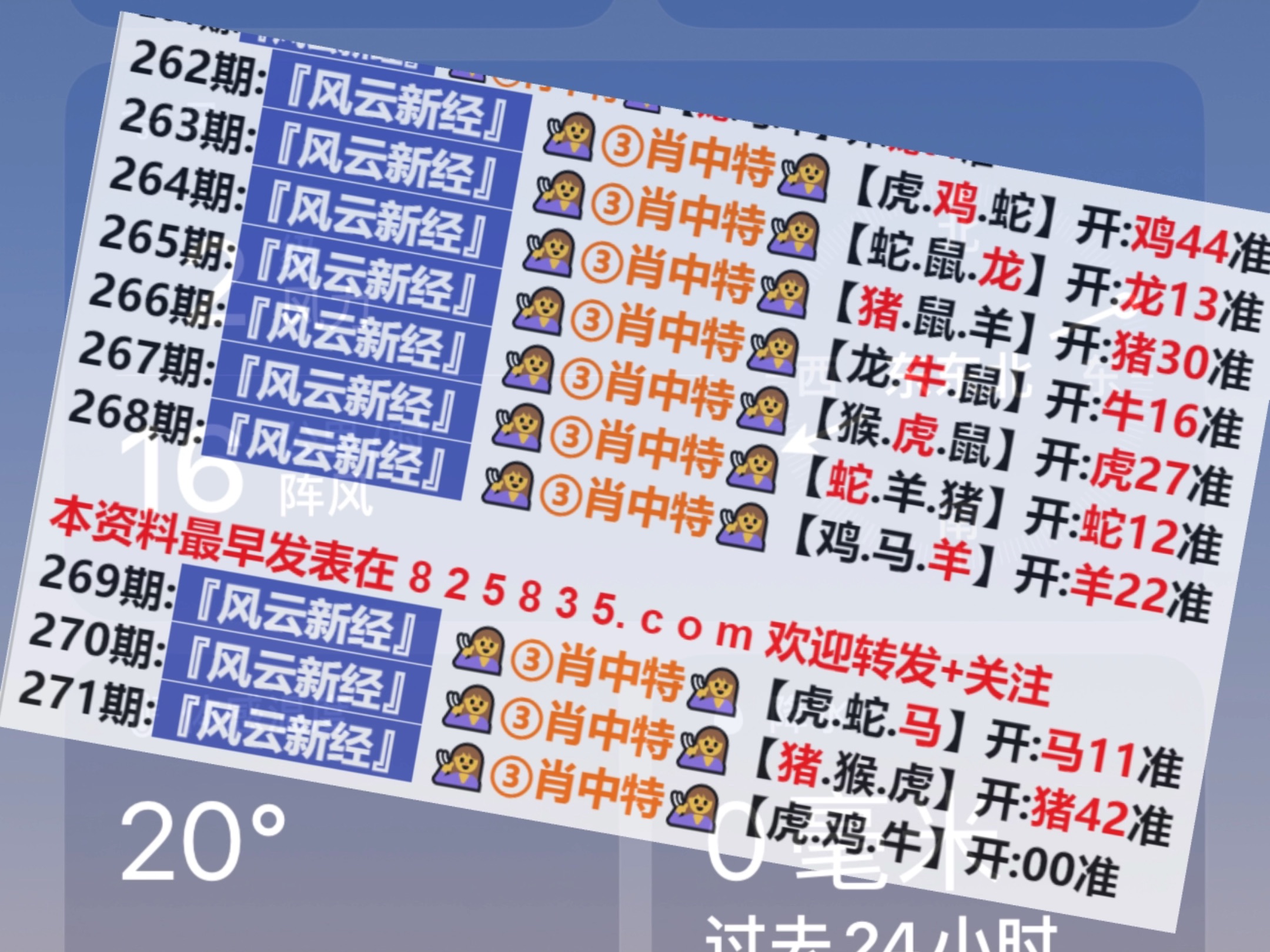 新澳门开奖结果2024开奖记录查询，全面解析与实时更新，澳门开奖结果解析与实时更新，2024年开奖记录查询