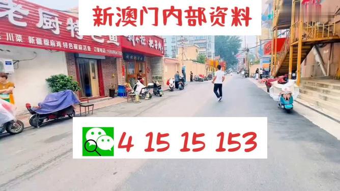 新澳天天开好彩，揭秘彩票背后的秘密与策略，揭秘彩票背后的秘密与策略，新澳天天开好彩的真相探索