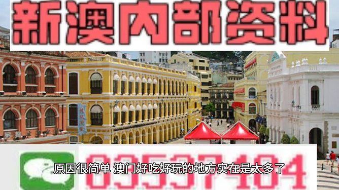 新澳门免费精准大全——探索澳门的无限魅力，澳门魅力无限，新澳门免费精准大全探索