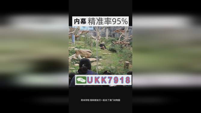 澳门彩票开奖结果预测与解析（2023年展望），澳门彩票开奖结果预测与解析（展望2023年）