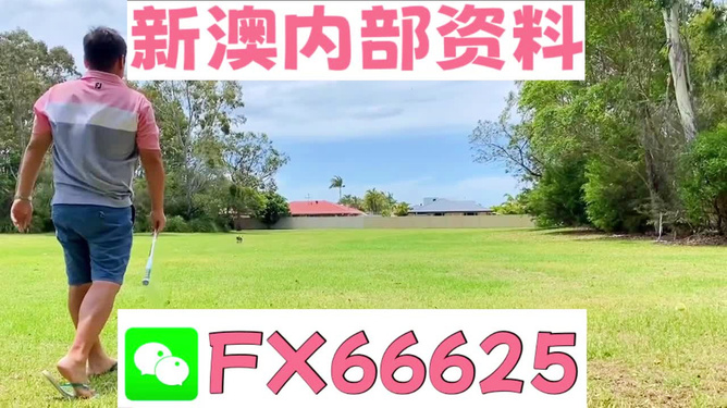 王中王马报网站必中一肖——揭秘彩票预测真相与策略，揭秘彩票预测真相与策略，王中王马报网站必中一肖预测解析