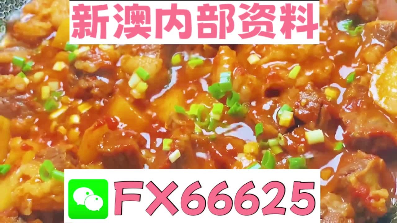 新奥门特免费资料大全凯旋门，探索与体验，新奥门特免费资料大全，凯旋门探索与体验之旅
