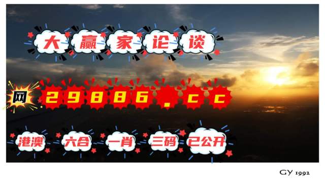 王中王肖一码资料解析与SEO优化策略探讨，王中王肖一码资料解析与SEO策略深度探讨