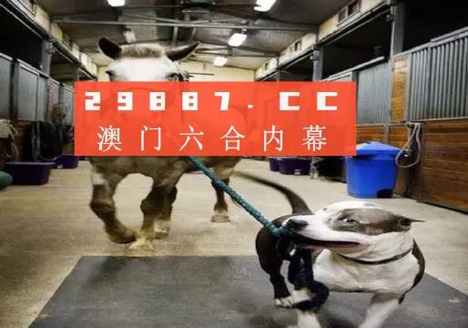 澳门一肖一码一必中一肖同舟前进——揭秘彩票奥秘，探索成功之道，揭秘澳门彩票奥秘，一肖一码必中，同舟前进探索成功之路