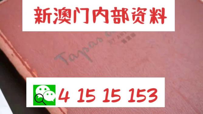 新门内部精准资料免费，揭秘SEO优化秘籍，揭秘新门内部精准资料，免费分享SEO优化秘籍！