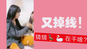 王中王欲钱诗猎一肖，探寻神秘文化背后的故事与奥秘，探寻王中王欲钱诗猎一肖背后的神秘文化与故事奥秘