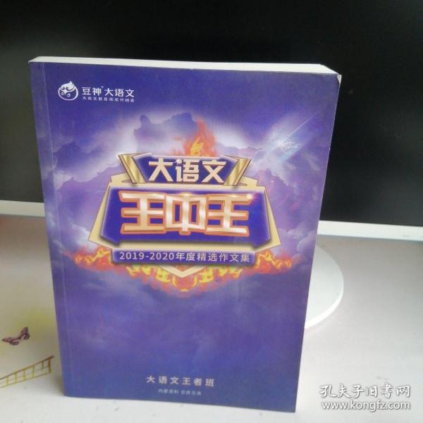 王中王资料2019一肖，揭秘背后的故事与趋势分析，揭秘王中王资料背后的故事与趋势分析，2019一肖展望