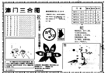 王中王资料一肖中特家婆，深度解析与SEO优化探讨，王中王资料与家婆深度解析，SEO优化探讨