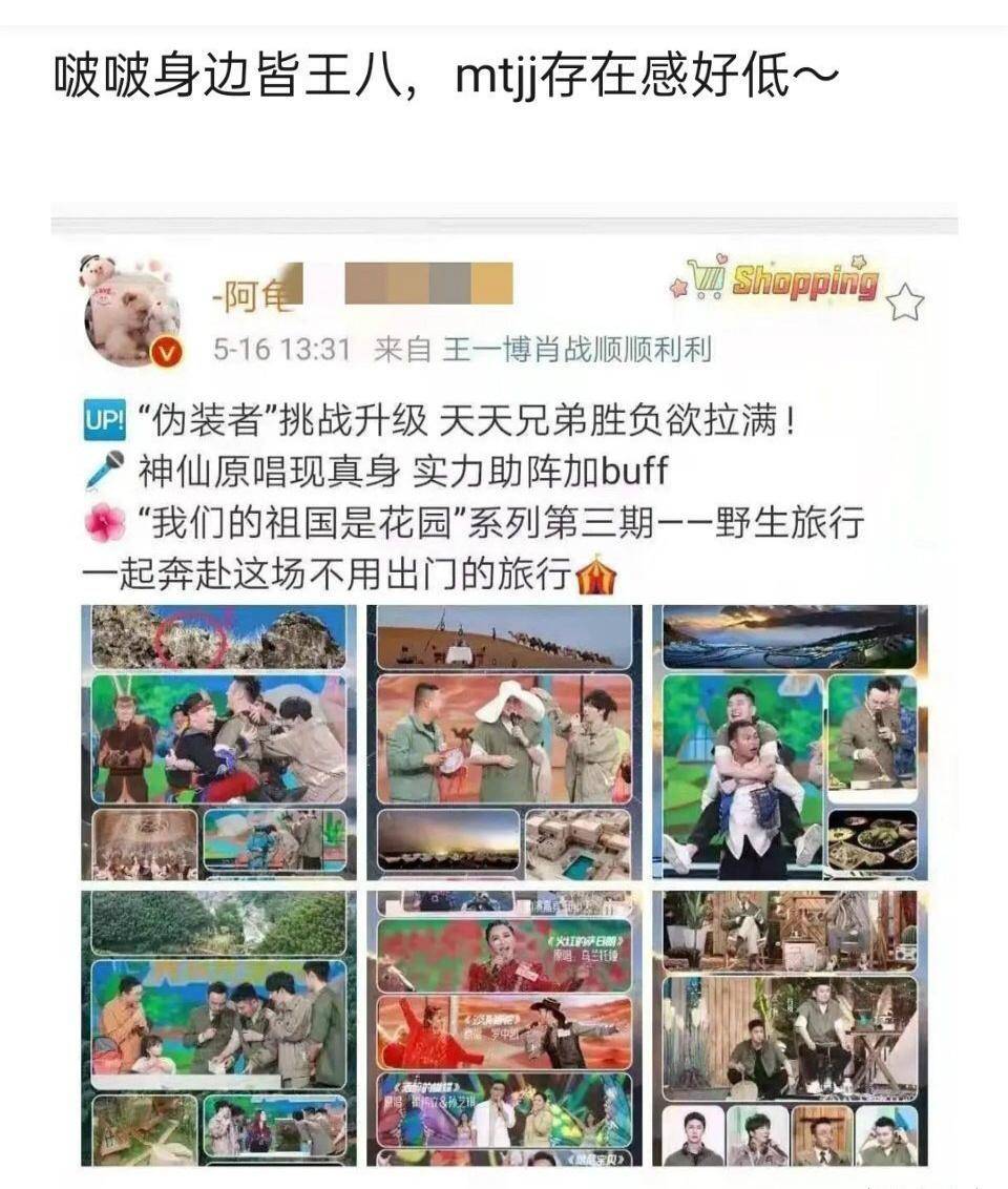 揭秘Com504精准王中王一肖的秘密策略，揭秘Com504精准王中王一肖的秘密策略与技巧