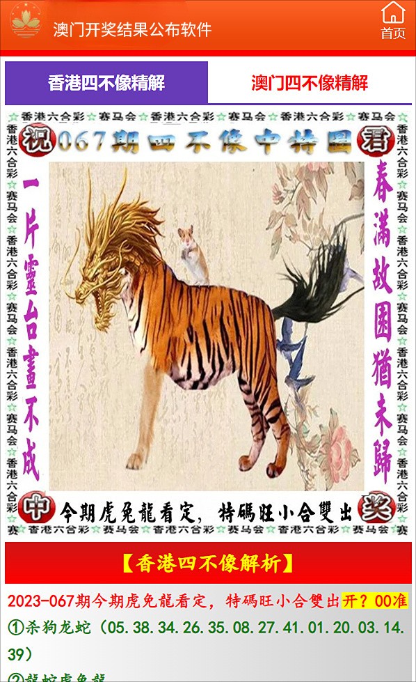 新澳门今晚开特马结果，探索与期待，澳门今晚特马开奖结果揭晓，期待与探索的交汇点