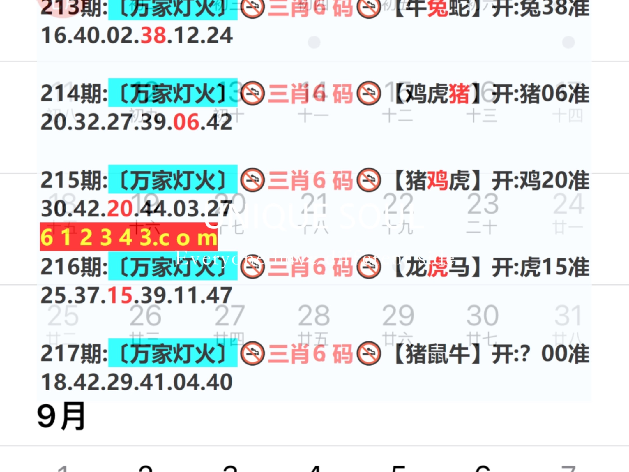 新澳门期期免费资料，探索与揭秘，探索与揭秘，新澳门期期免费资料