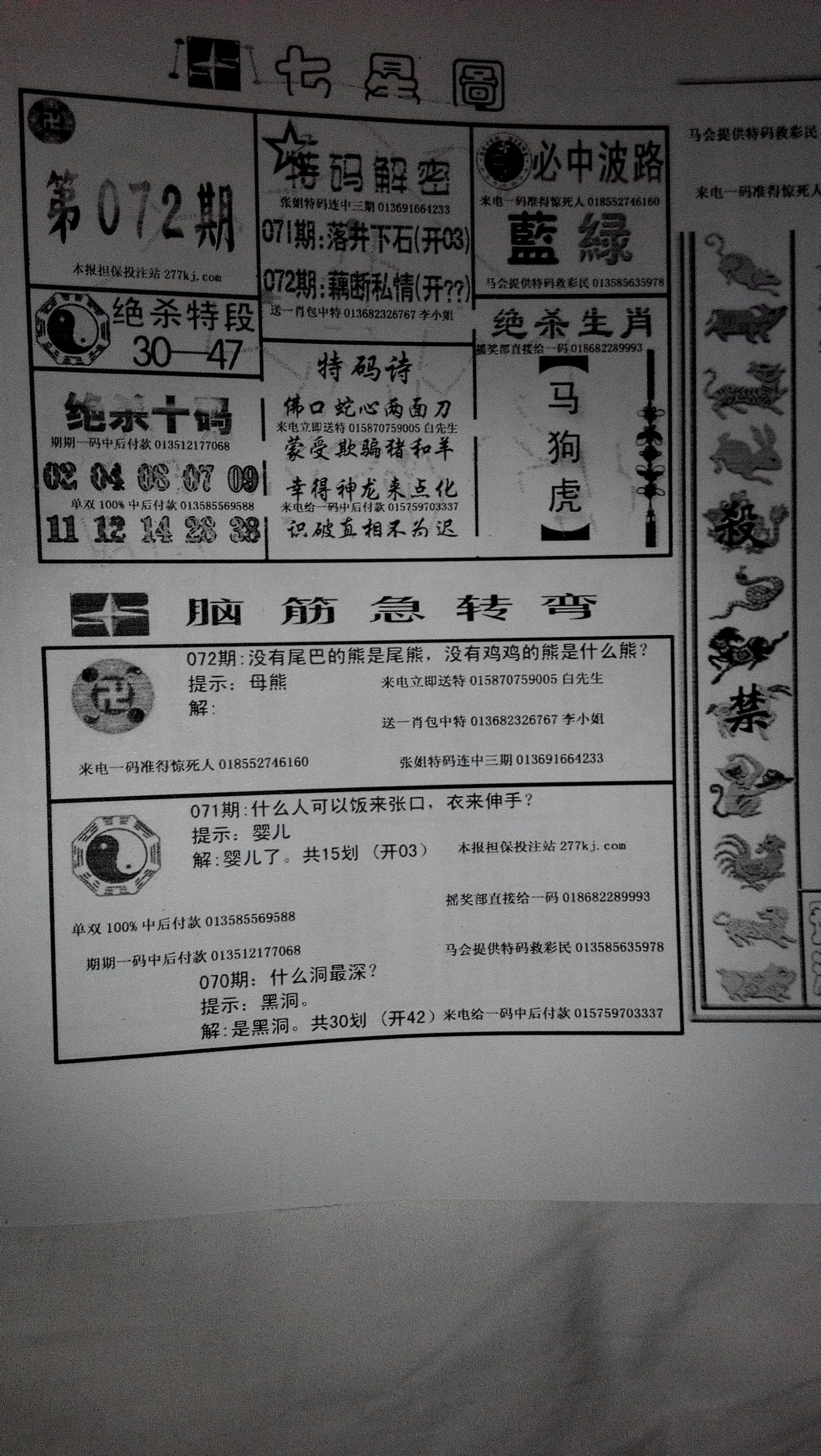 王中王296期指一生肖——深度解析与预测，王中王296期生肖深度解析与预测报告