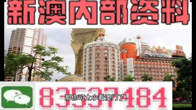 澳门4949资料免费大全——探索澳门彩票的世界，澳门彩票世界探索，4949资料免费大全