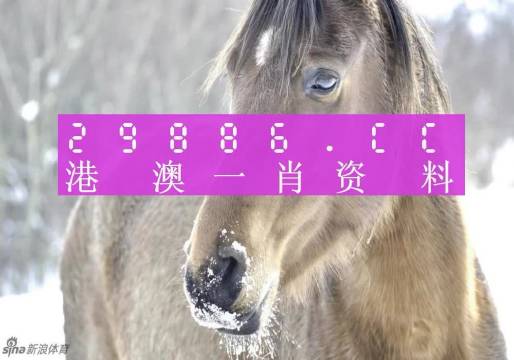 澳门 第415页