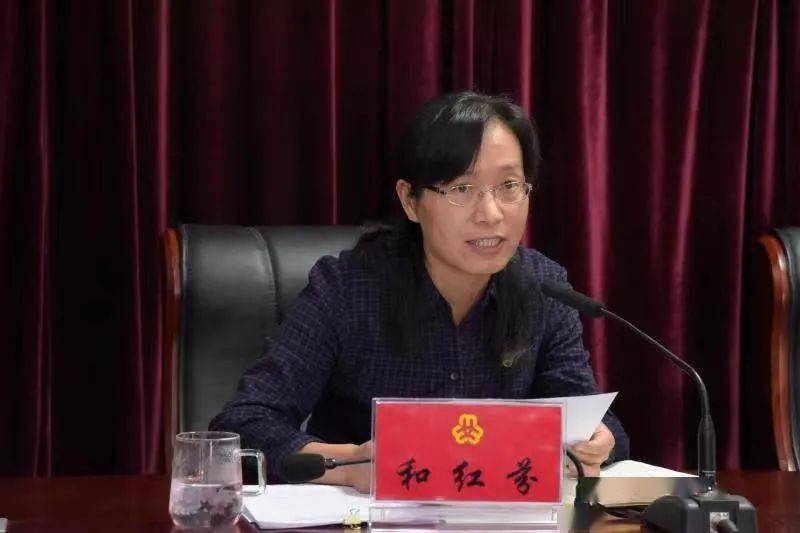 二四六精版免费大全——探索优质资源的宝藏，二四六精版免费大全，优质资源探索指南