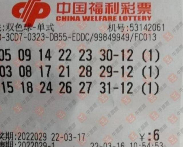 背后的故事与奥秘（或故事揭秘）