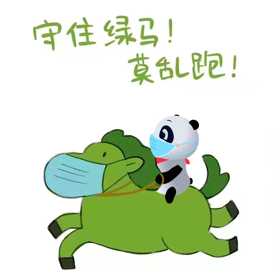 一码包中揭秘，9点20公开的神秘面纱与优势，一码包内部揭秘，9点20公开神秘面纱与独特优势