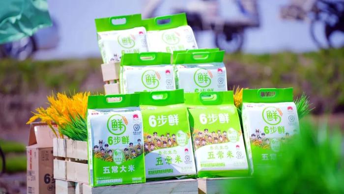 王中王资米斗一肖中持，深度解析与SEO优化策略，王中王资米斗一肖中持深度解析与SEO优化策略探讨
