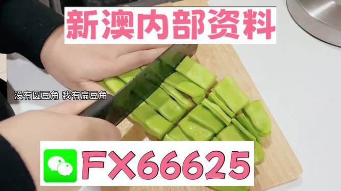 新澳精准资料免费提供，探索与实践的指南，新澳精准资料免费分享，探索与实践的导航指南