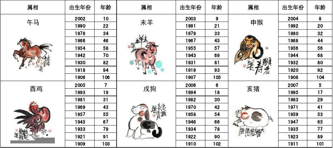 揭秘管家，生肖号码背后的神秘面纱，揭秘管家，生肖号码背后的秘密面纱
