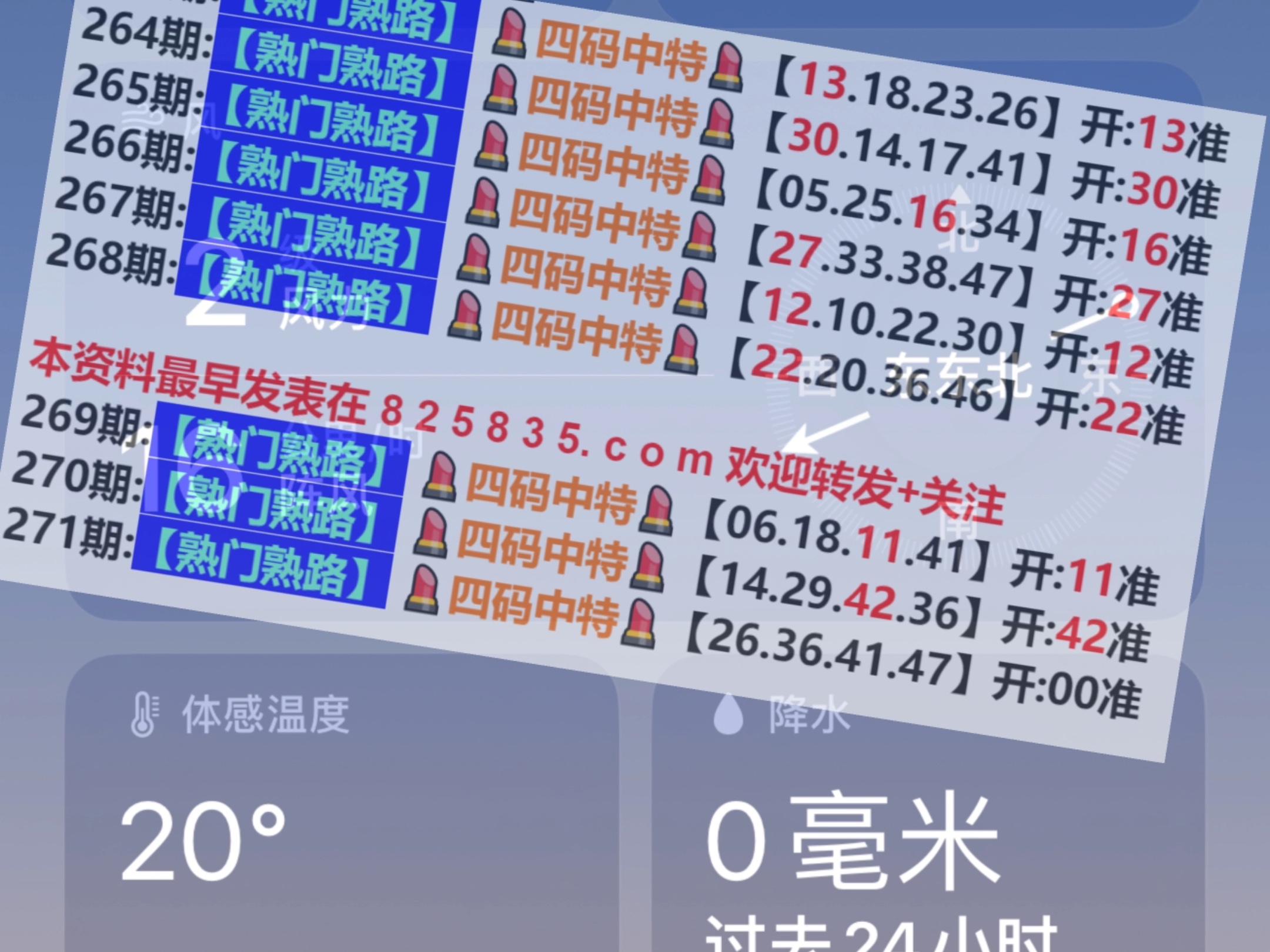2024澳门正版精准资料，全面解析与SEO优化策略，澳门正版精准资料全面解析与SEO优化策略指南