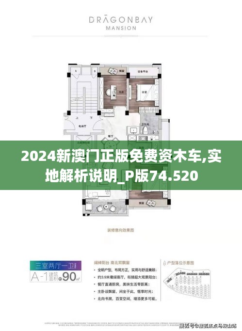 探索澳门，2025新澳门正版免费资源木车之旅，澳门探索之旅，2025正版免费资源木车之旅