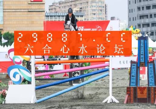 王中王论坛心水平特一肖，深度探索与解析，王中王论坛心水平特一肖，深度探索与解析报告
