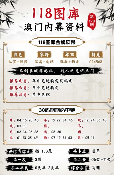 揭秘奥秘（或 王中王特马图奥秘）