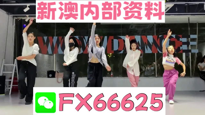 新奥最精准免费大全，全方位解析与实用指南，新奥最精准免费大全，全方位解析与实用指南手册