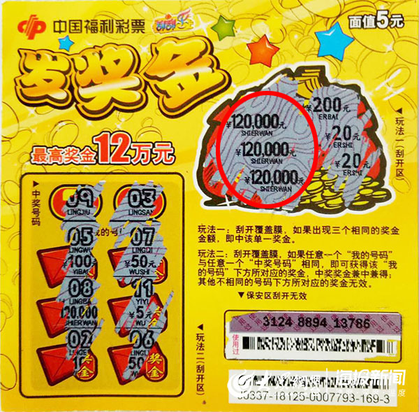 王中王开奖必中一肖，揭秘彩票背后的秘密策略与技巧，揭秘彩票策略与技巧，王中王开奖必中一肖的秘诀