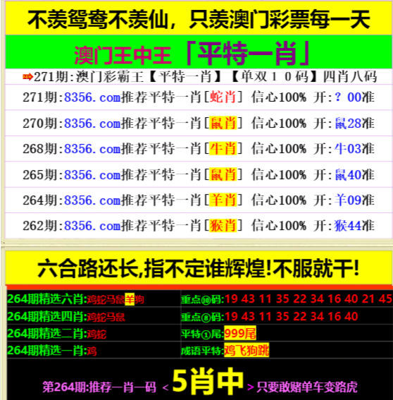 一肖一马王中王开奖，揭秘彩票背后的秘密与策略，揭秘彩票背后的秘密与策略，一肖一马王中王开奖解析