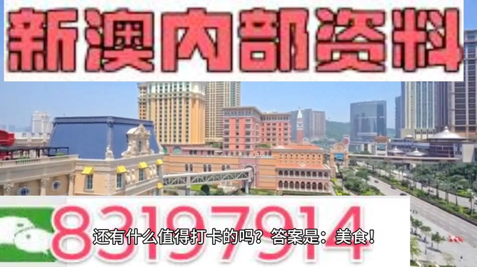 新澳门正版资料免费看，探索与揭秘，探索与揭秘，新澳门正版资料免费看