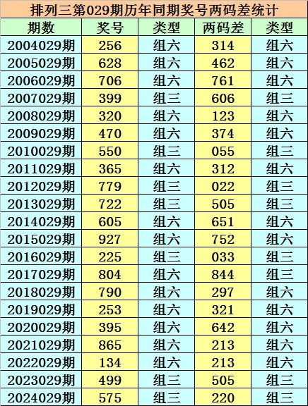 揭秘两码背后的秘密，概念、应用与优化策略，揭秘两码背后的秘密，概念、应用及优化策略全解析