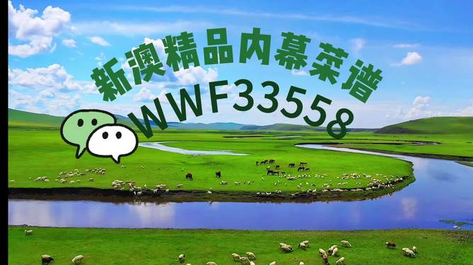 澳门今晚必开一肖中，探索生肖运势与预测的准确性，澳门今晚生肖运势探索，预测准确性揭秘