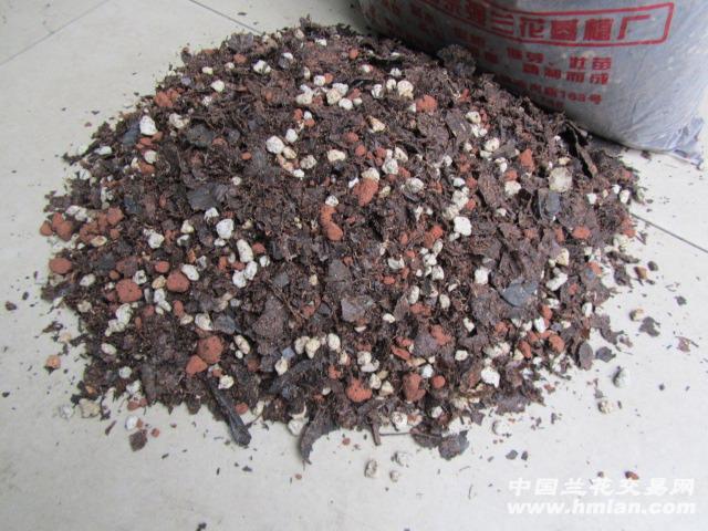 外站精料，挖掘网络资源的秘密武器，外站精料，挖掘网络资源的高效秘诀