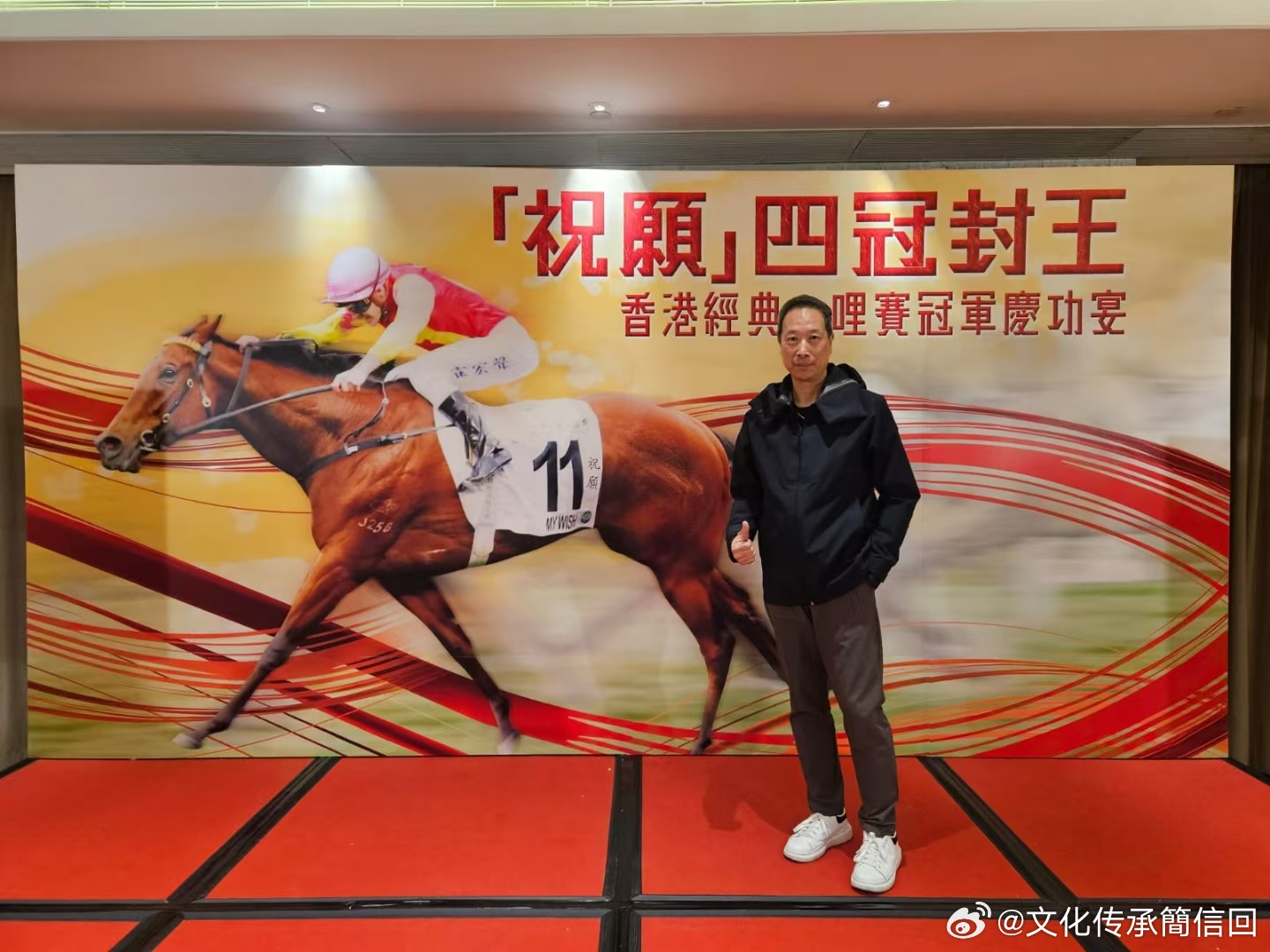 香港王中王特一肖，揭秘背后的故事与奥秘，揭秘香港王中王特一肖背后的故事与奥秘