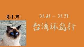 澳门今期正版四不像图片寻找指南，澳门今期正版四不像图片探索指南