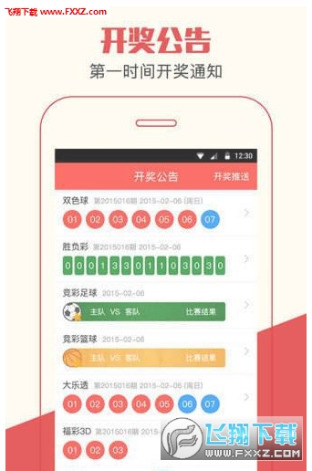 揭秘2020王中王一肖码，背后的故事与探索，揭秘，王中王一肖码背后的故事与探索之旅 2020版