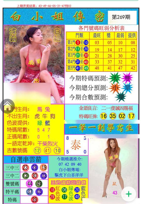 王中王白小姐一肖论坛，探索与解析，王中王白小姐一肖论坛，深度探索与解析