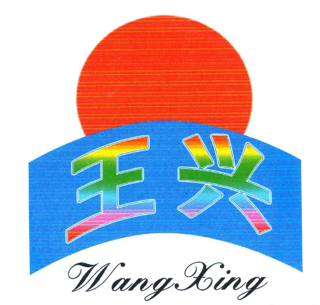 小鱼儿一肖王中王兴典，揭秘背后的故事与SEO优化策略，揭秘小鱼儿一肖王中王兴典背后的故事与SEO优化策略揭秘真相
