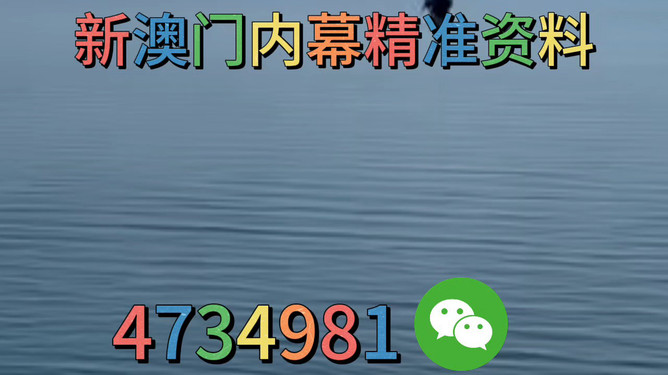 澳门精准一肖预测，揭秘2022年生肖运势的奥秘（附100%准确分析），澳门精准生肖预测揭秘，2022年生肖运势奥秘与精准分析（附独家预测报告）