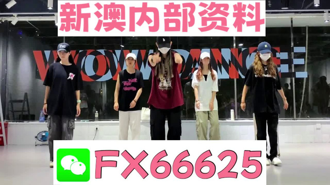 新奥天天免费资料大全——探索与优化的SEO文章，新奥天天免费资料大全，深度探索与优化SEO之道