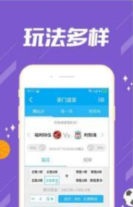 二肖二码，深度解析与SEO优化策略，二肖二码深度解析与SEO优化策略探讨