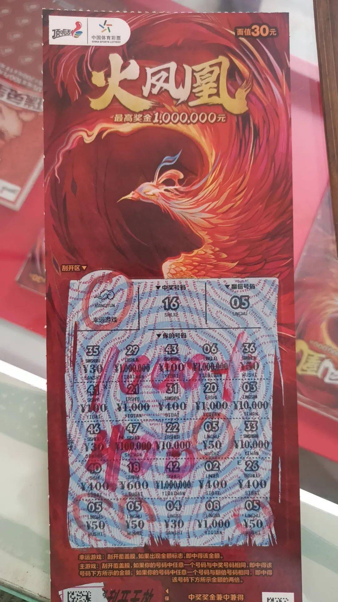 王中王火凤凰平特一肖，揭秘背后的神秘与传奇，揭秘王中王火凤凰背后的神秘传奇与平特一肖故事