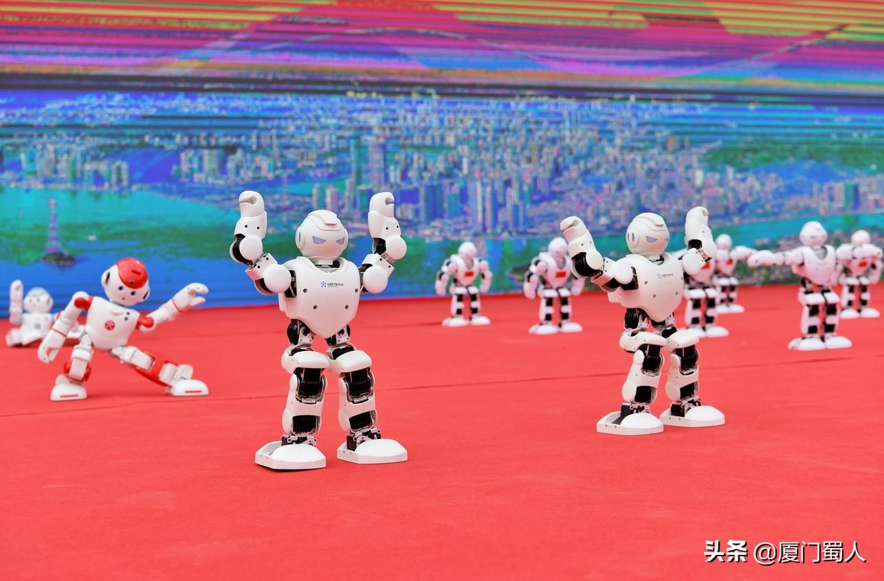 王中王一肖，揭秘其在202O年第3期的独特风采，王中王一肖，揭秘其在最新一期中的独特风采（202O年第3期）