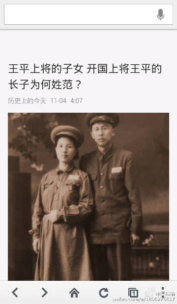 王中王平特一肖妃子，历史与文化的交织之美，王中王平特一肖妃子，历史与文化的华丽交织